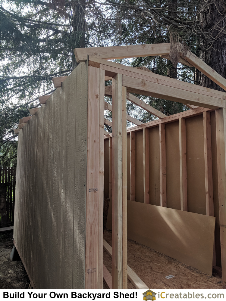 Framing the storage shed roof. 